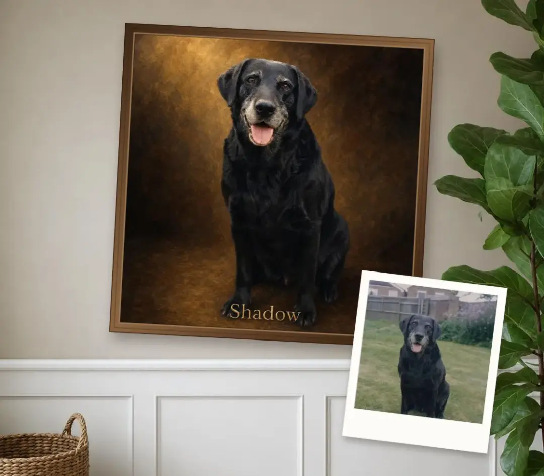 Oil portrait of an older black Labrador, in a walnut frame, with the faded print it was painted from